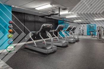 a row of cardio machines in a gym